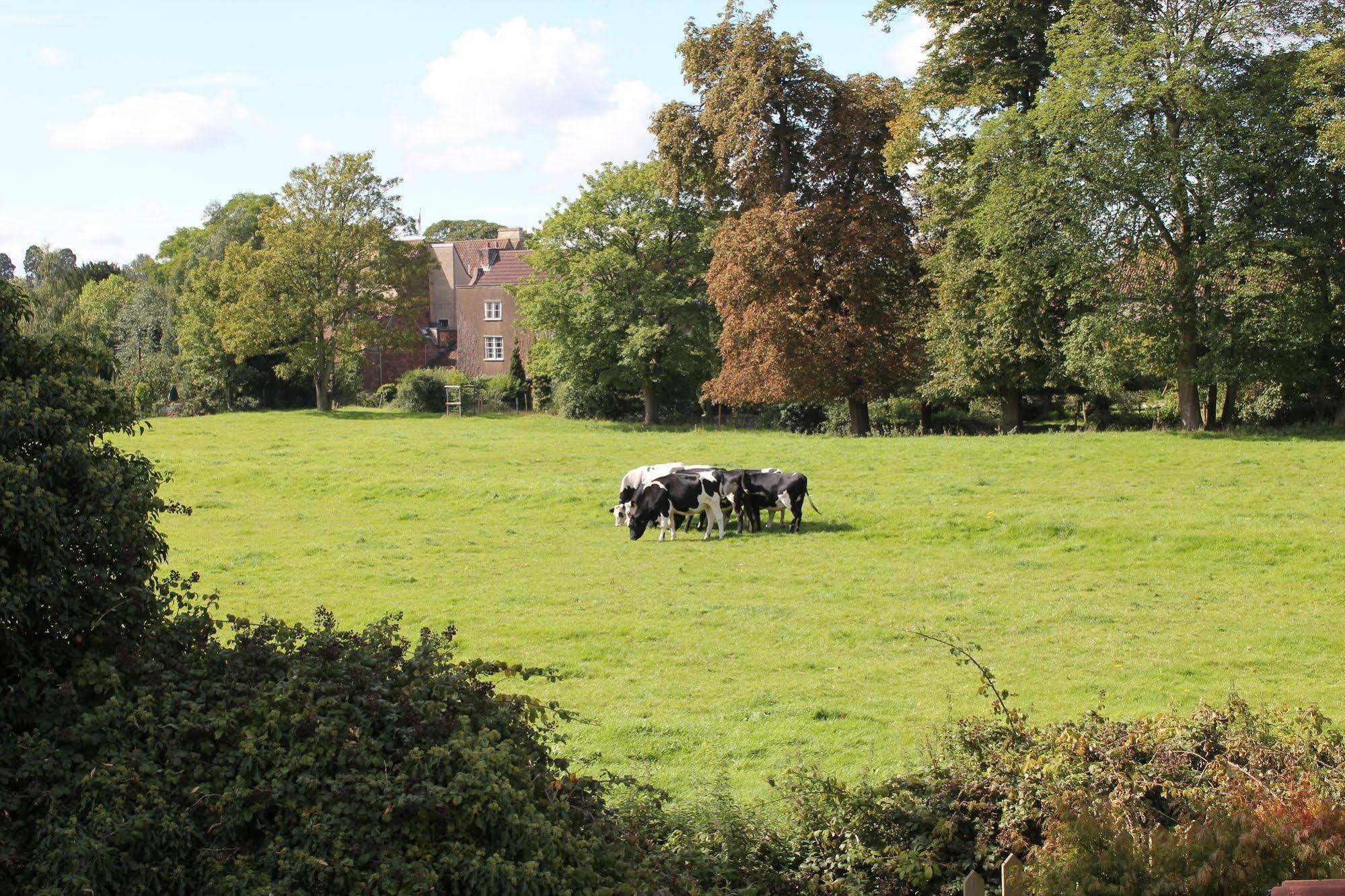 Bed and Breakfast The Coach House Winterbourne Exteriér fotografie